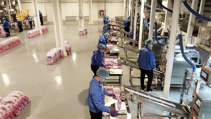 特絲麗化工 踐行環保理念，打造綠色護膚品制造新標桿