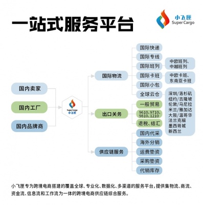 國際快遞貨運(yùn)與國內(nèi)貿(mào)易代理 加拿大市場的協(xié)同發(fā)展策略